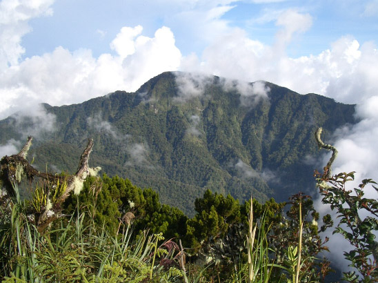 Mount Dulang-dulang in Bukidnon